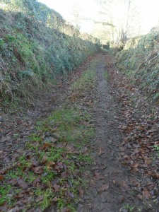 hollow way 2