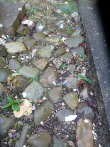 pebbles